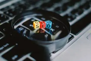 local seo