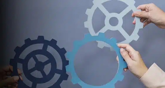 web maintenance