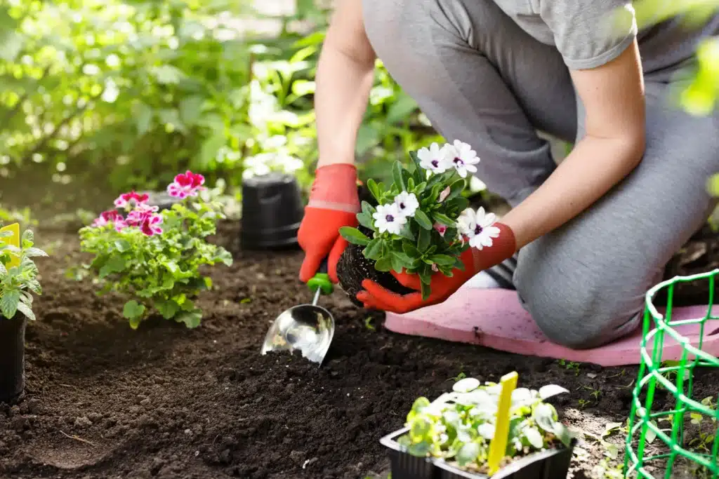 Just like gardening, tending one thriving garden beats five forgotten patches.